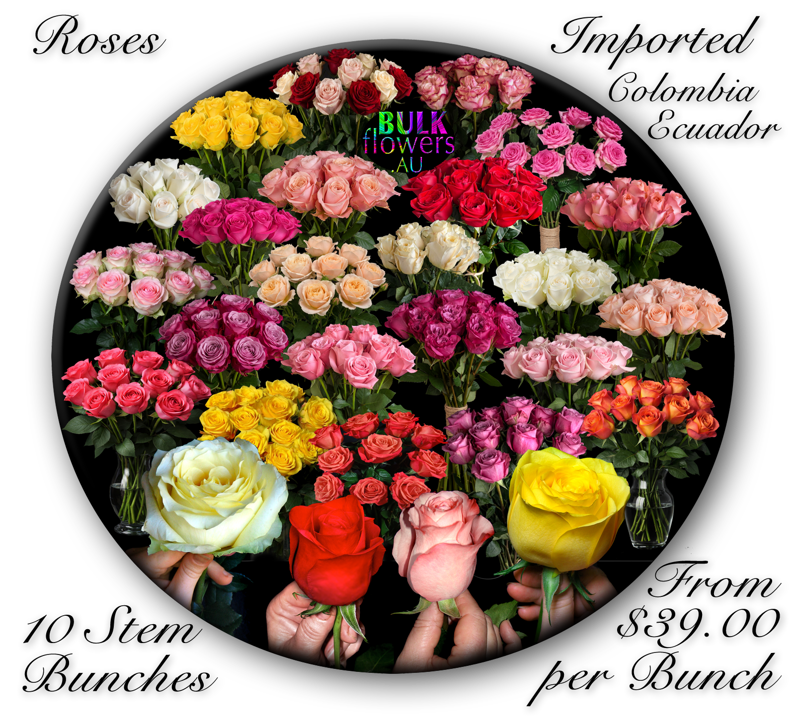 BULK FLOWERS