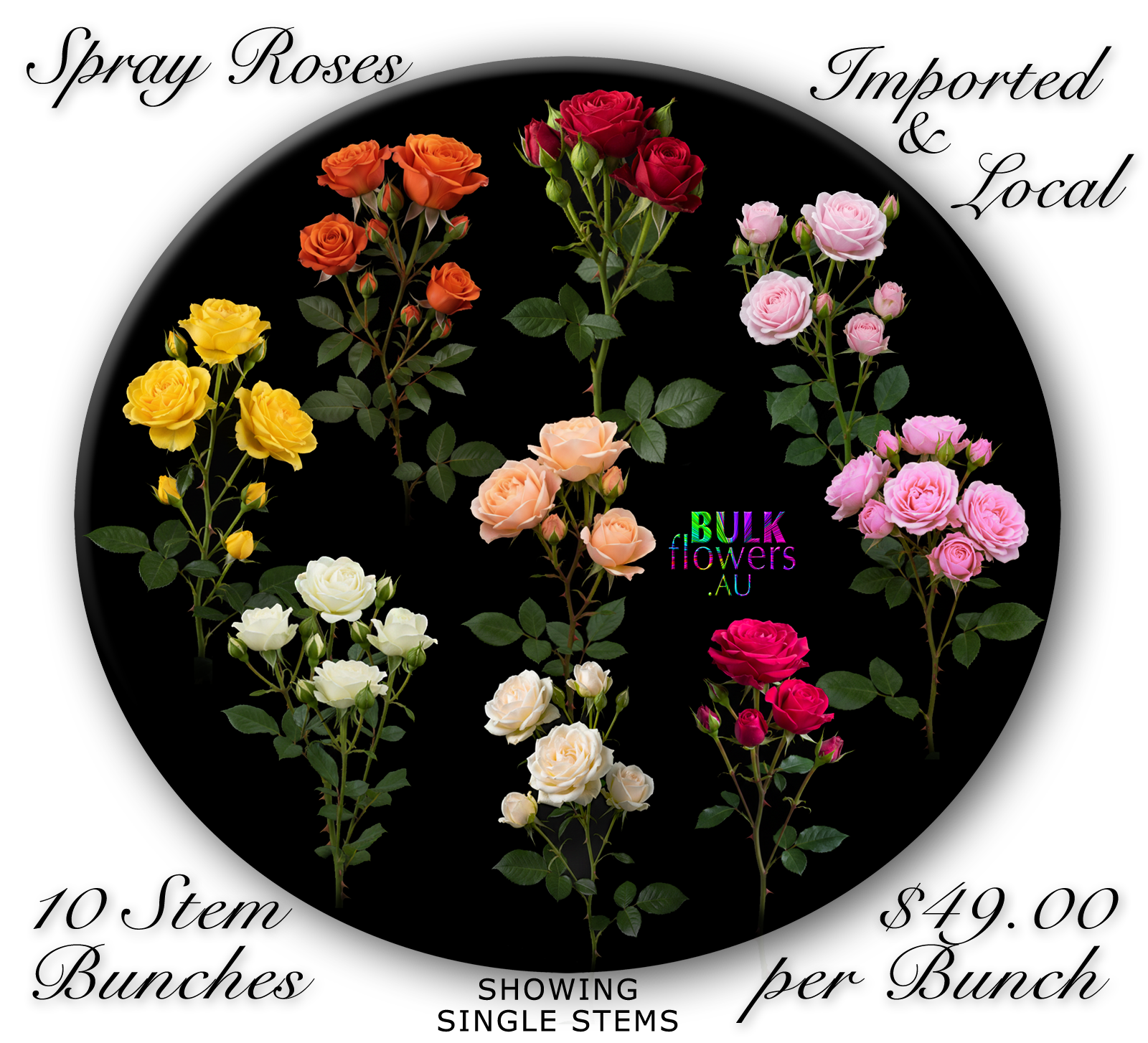 BULK FLOWERS